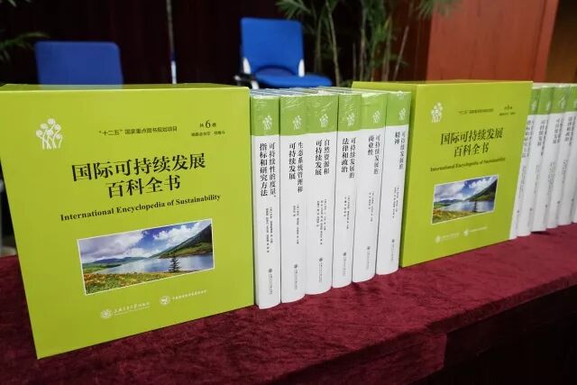 『论坛特色篇』中国碳博会-实现装备和思想共同碰撞(图18)