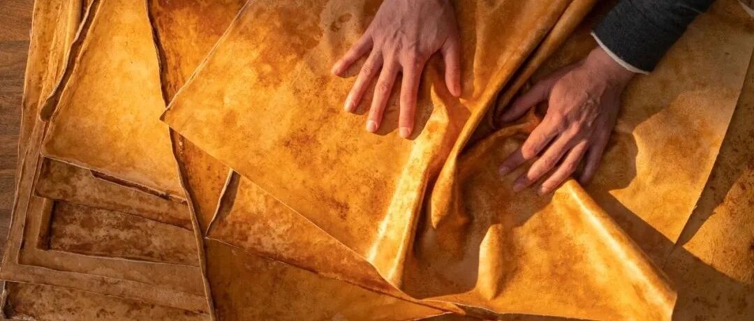 深度 | 做环保素皮的公司不少，为何唯独这家获得爱马仕青睐？