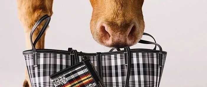 深度 | Burberry的“牛年”系列能成功吗？