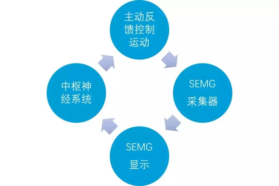 偏瘫康复治疗仪怎么样【康复治疗（三）】给您不一样的康复体验——电子生物反馈治疗仪_https://www.jmylbn.com_新闻资讯_第3张