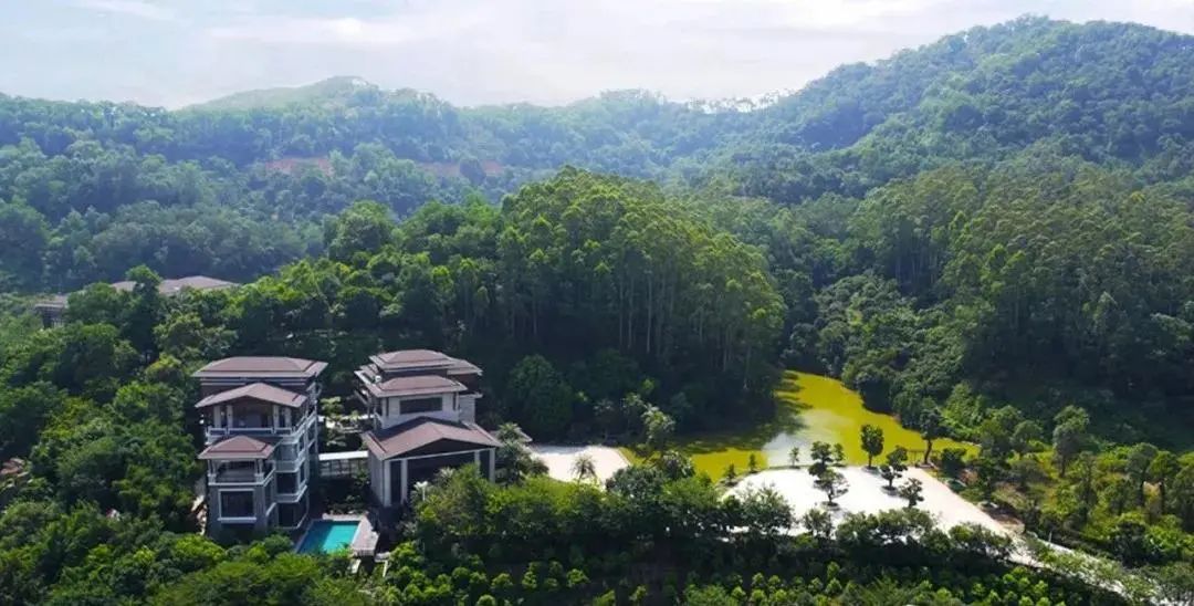 中新板块侨建御溪谷285方大平层+别墅