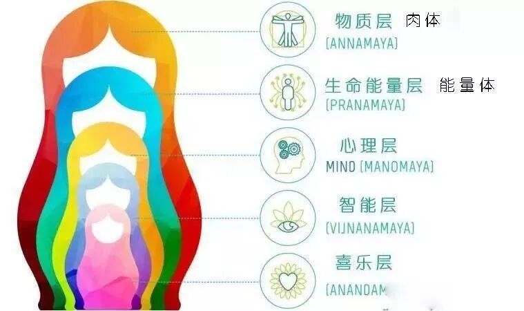 怎么 收 会阴练瑜伽，今天我们不聊腹肌，聊腹部收束！_https://www.jmylbn.com_新闻资讯_第2张