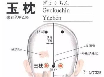 穴位：玉枕穴