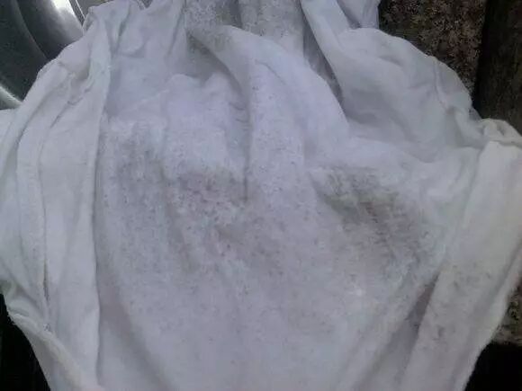 二妙丸三妙丸四妙丸_樟脑软膏的不良反应_樟脑丸