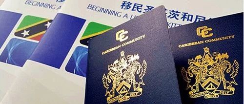 圣基茨护照丨全程无接触,政策稳定,备受高净值人群青睐!