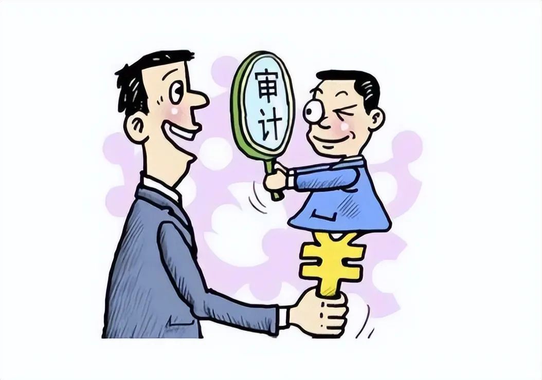 一口气了解国家审计咋来的