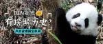 因为腿短，小熊友有怎样的黑历史？