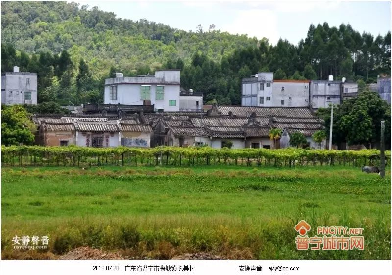 普寧村落梅塘長美村①