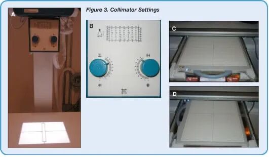 动物拍片腹部怎么摆【译文推荐】小动物腹部x线摄影术，一文教会你如何拍摄出一张高质量的x光片！_https://www.jmylbn.com_新闻资讯_第5张