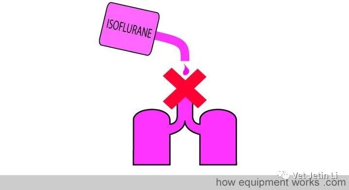 怎么使用麻醉挥发罐简单解释麻醉挥发罐的工作原理_https://www.jmylbn.com_新闻资讯_第2张