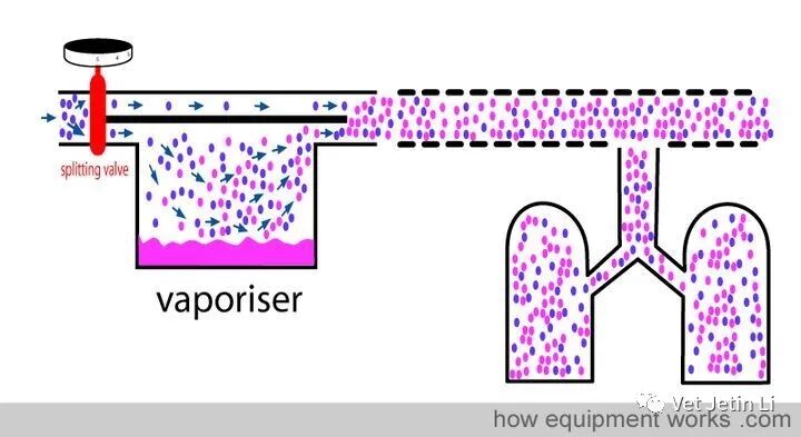 怎么使用麻醉挥发罐简单解释麻醉挥发罐的工作原理_https://www.jmylbn.com_新闻资讯_第3张