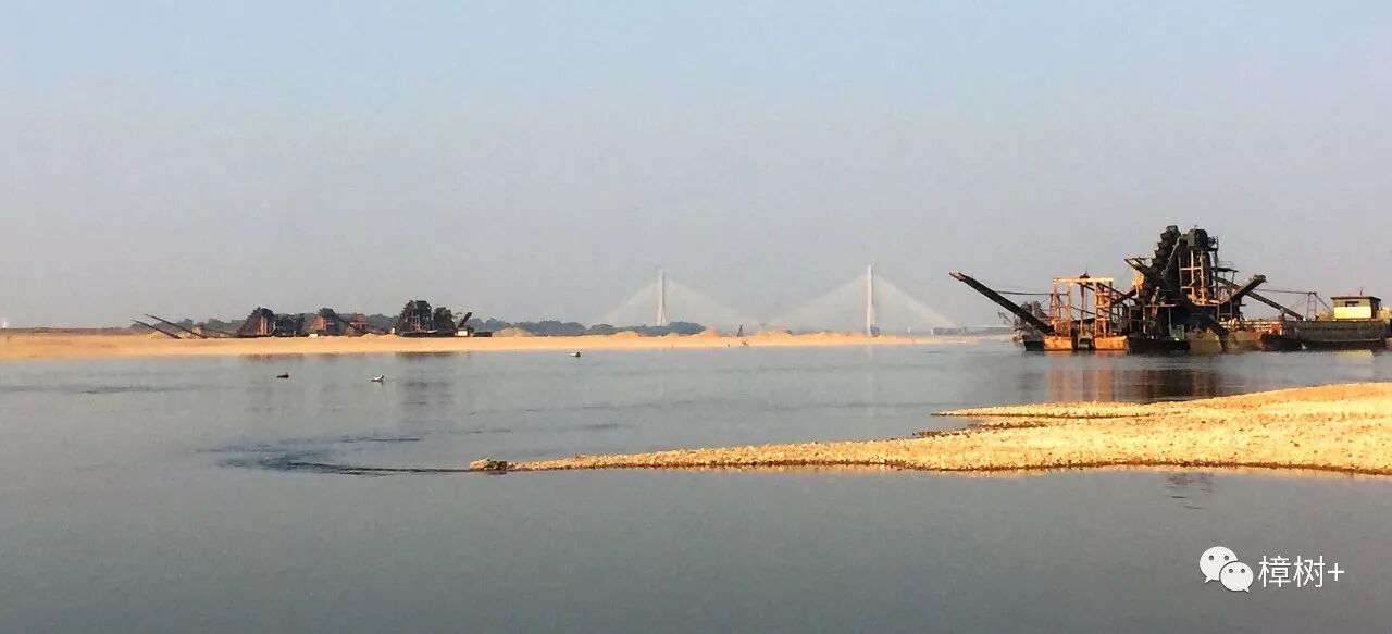 四桥平板车拉矿_斜柱式后拉卡盘_斜拉桥图片