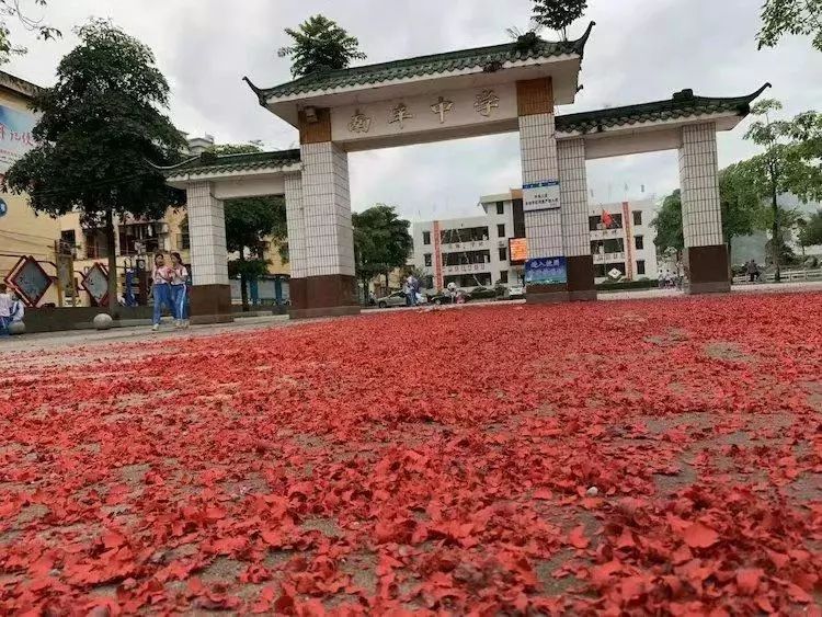 中考喜讯又添温封开县这家中学捷报频传