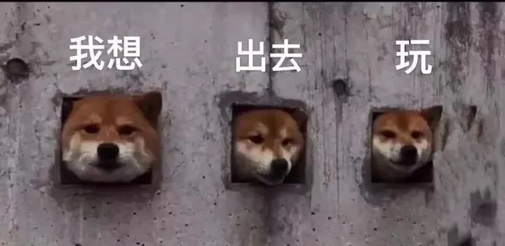 5月的中国，最美的地方在新疆！