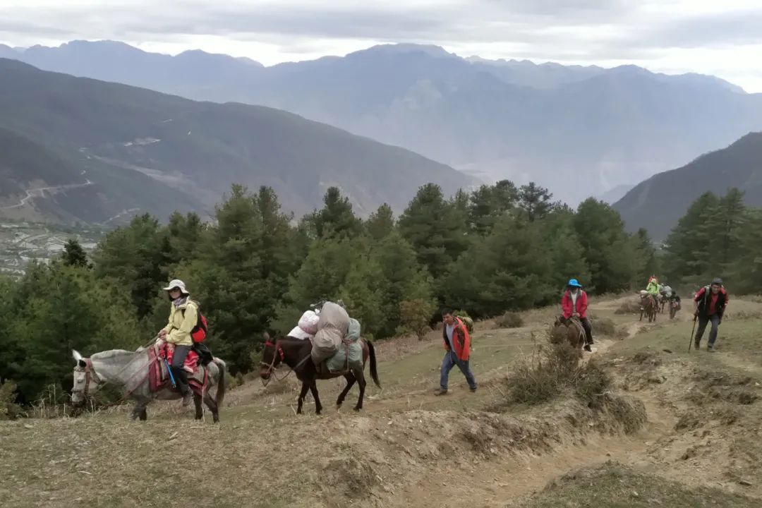 雨崩徒步+哈巴登山，這個國慶節可以既充實又刺激！ 旅遊 第50張