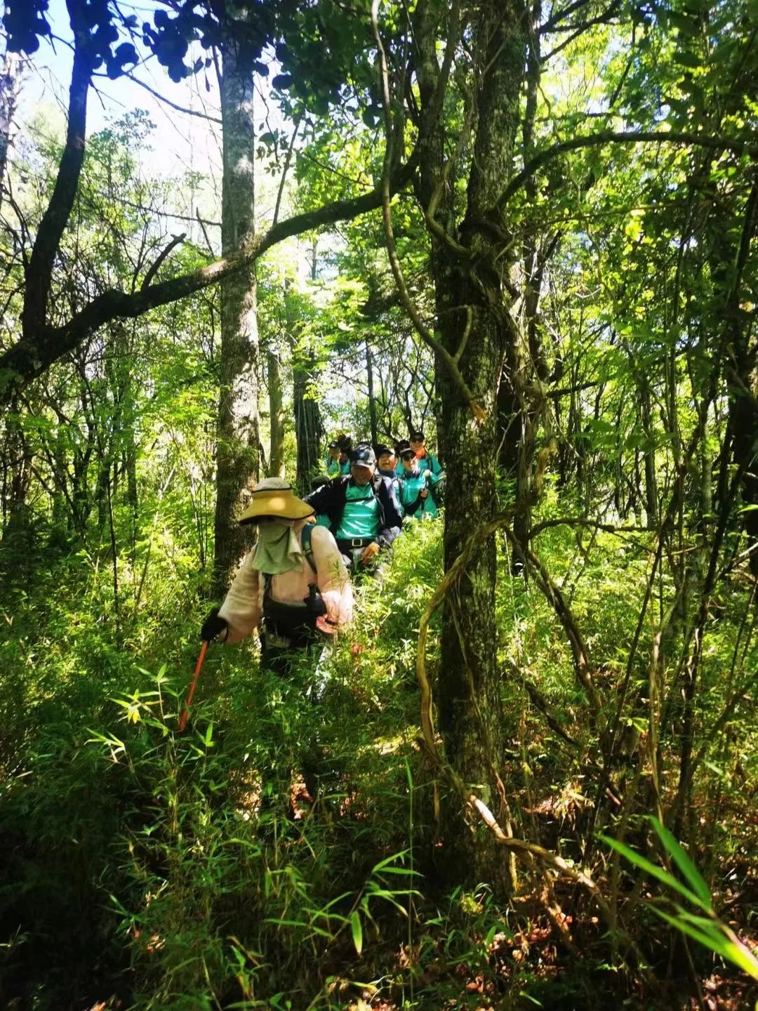 与神农架的云卷云舒一起沐浴于天地间在营地与古村落的皎洁月光下在