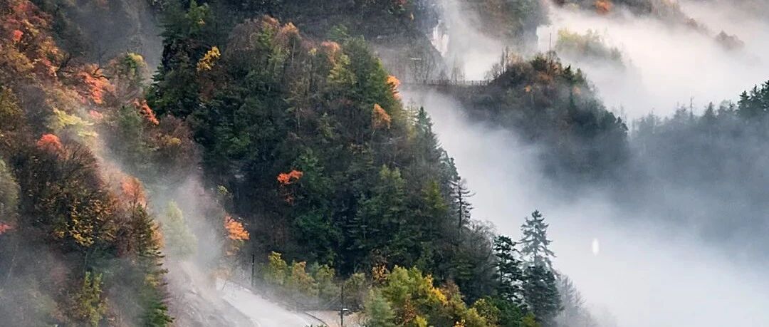 国庆节后，神农架的秋色才刚刚开始~