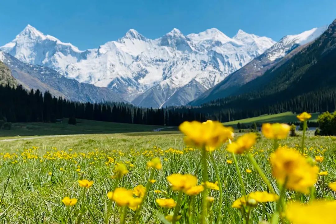 5月的中国，最美的地方在新疆！