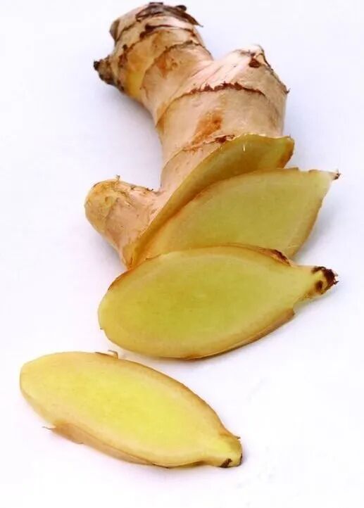 食物四性 四 热点讯息网