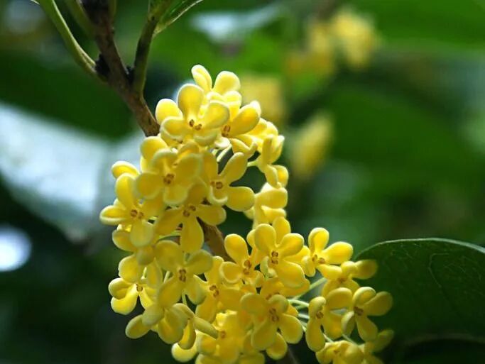 食物四性 四 热点讯息网