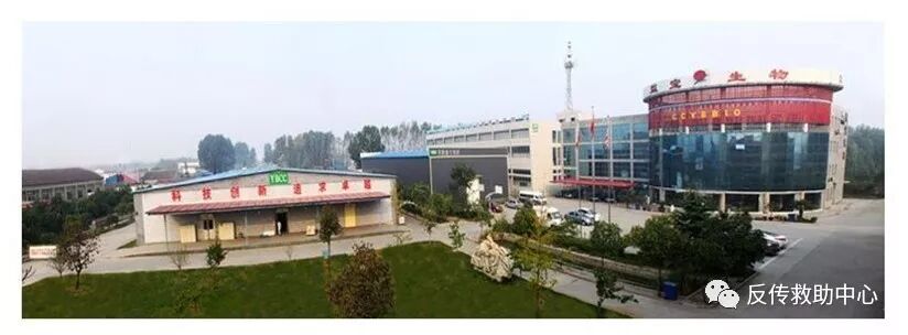 ɽ汦εĿγƶȺʹ࣬ҪС