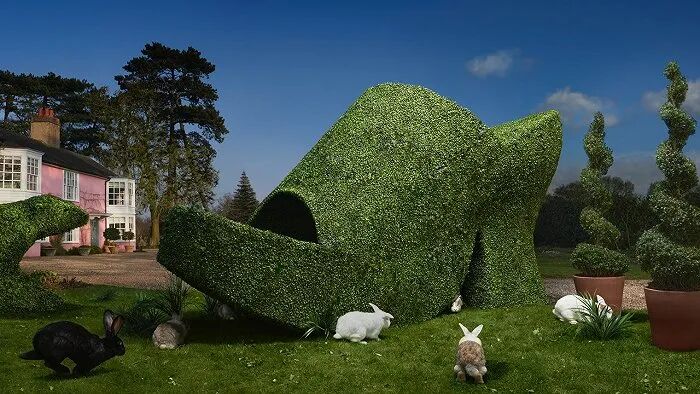 为什么这个小众品牌的平面设计可以秒杀一众大牌？