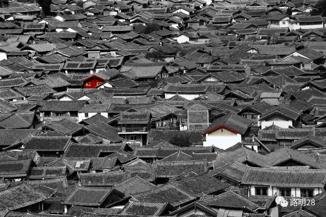 鄭州畫(huà)冊(cè)印刷_印刷畫(huà)冊(cè)哪里買(mǎi)_上海畫(huà)冊(cè)印刷
