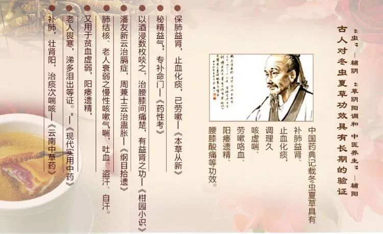冬虫夏草功效与作用 淮北论坛 内江新闻