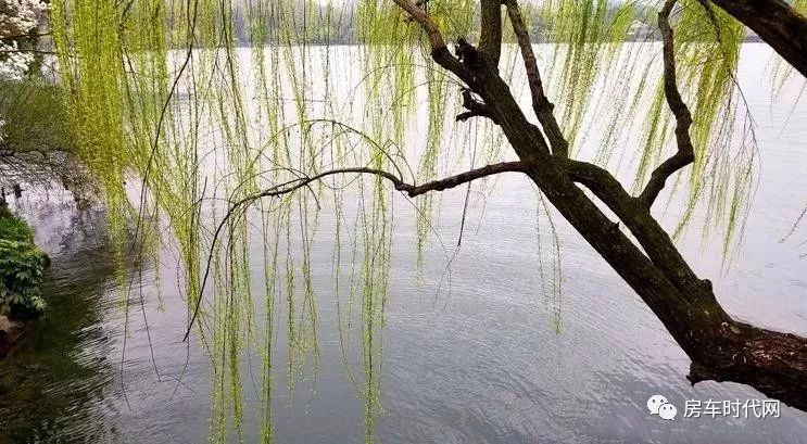 【車友分享】煙花三月，杭州煙雨與房車更配哦！ 旅遊 第7張