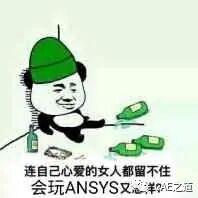 我的有限元学习之路——ANSYS篇的图12