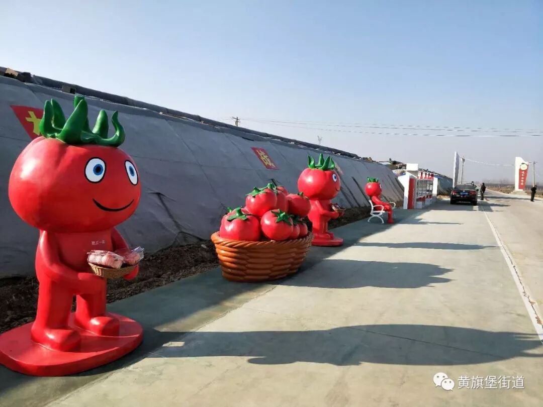 西红柿节 第二届“逄王一品”西红柿采摘节即将盛大开幕，海量节目等着你！