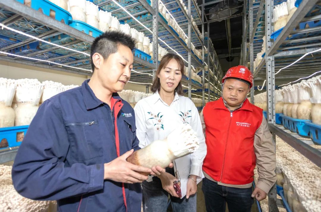 福建順昌：售電量逆勢而上 實現首季“開門紅”
