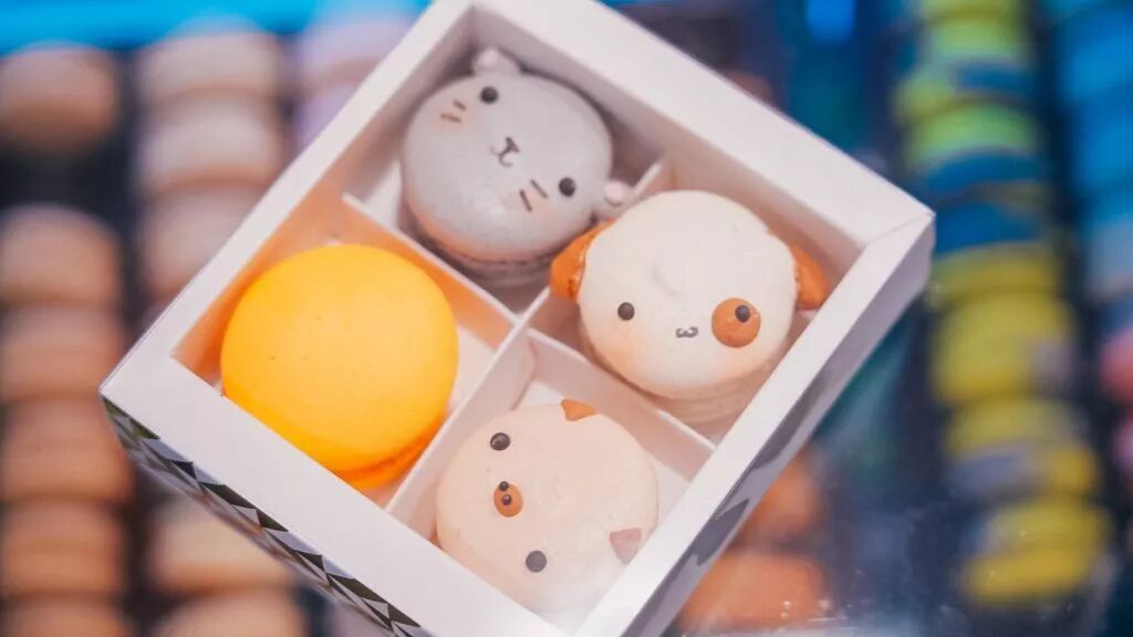 1月末 | 新加坡吃喝玩乐攻略