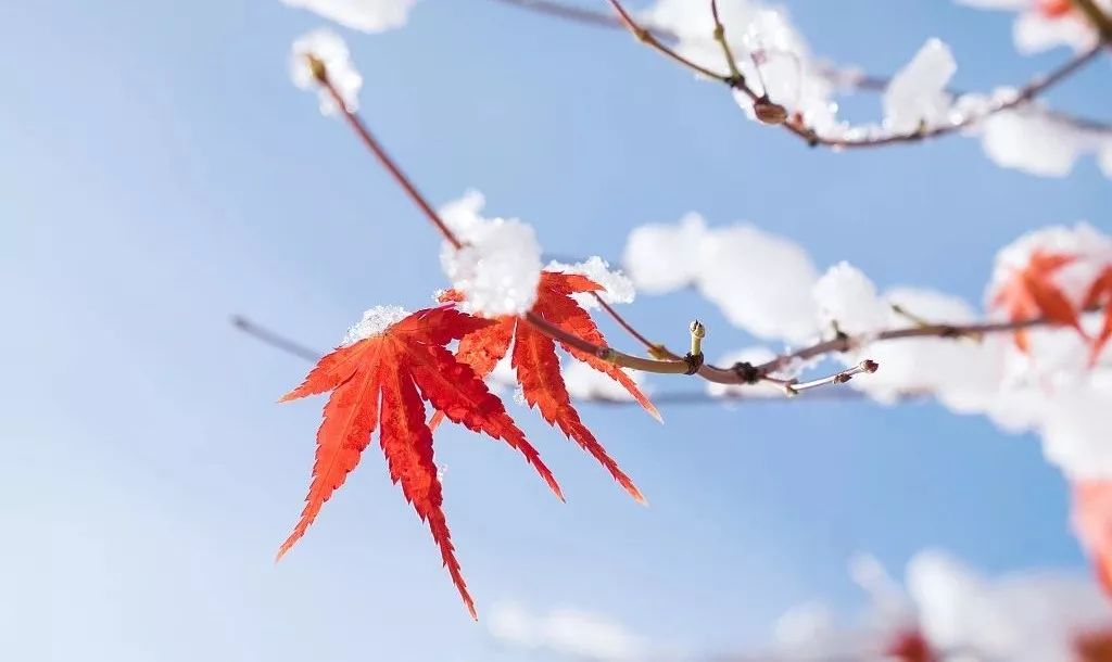 【景泉財富早午餐】2019.1.6 禮拜日 美食 第2張