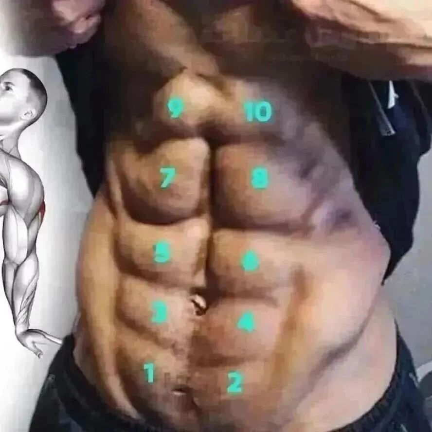 健身厨屋 Foodfit 公众号历史文章 微小领