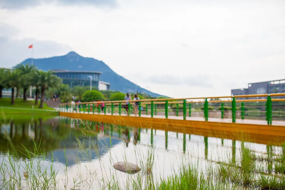 哈工大华德学院和哈理工远东学院_2019兰州警察学院录取通知线_厦门理工学院录取分数线