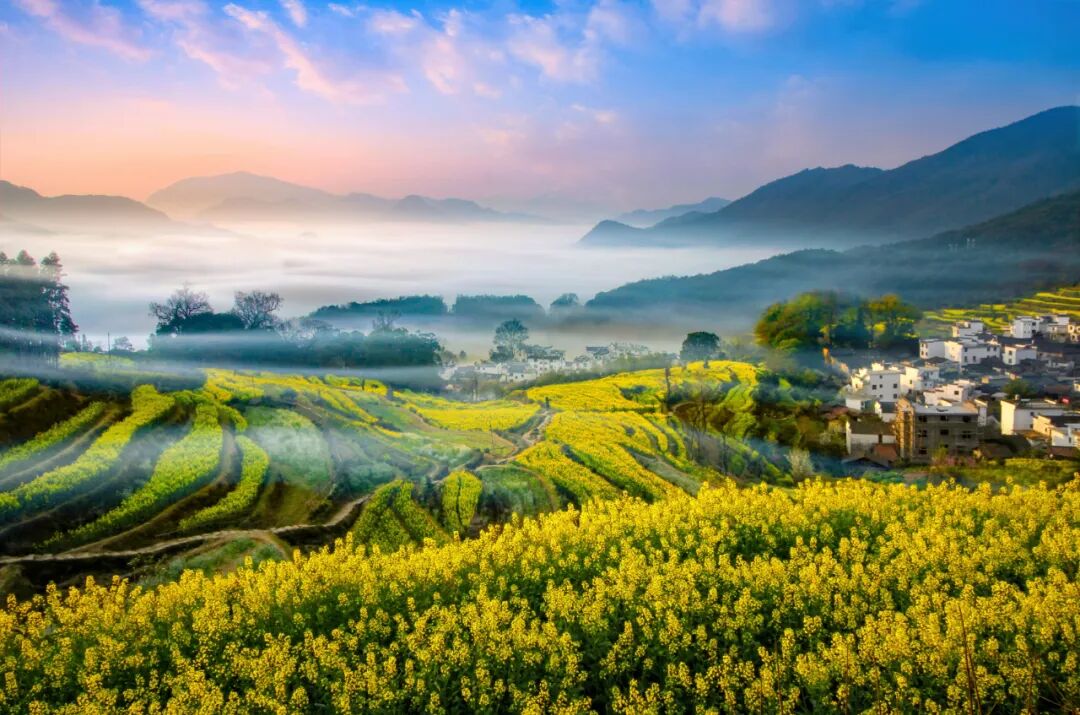 婺源油菜花-婺源春季摄影-婺源摄影团-婺源摄影向导-婺源花海