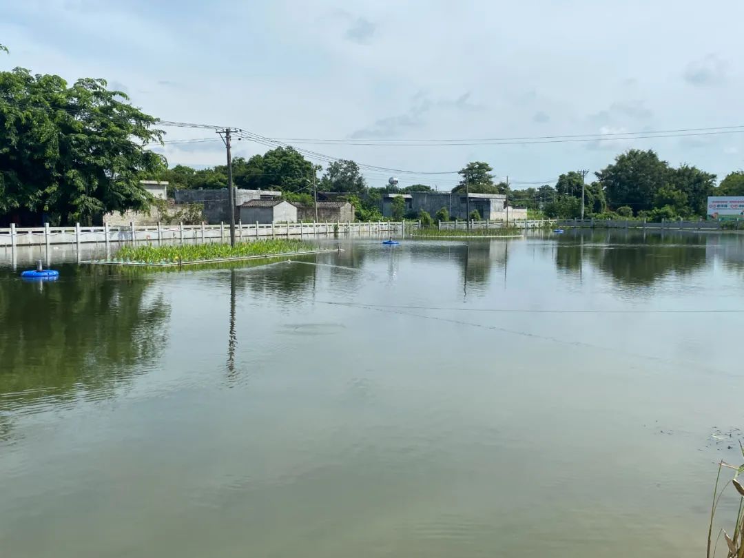 污水治理新兴技术大致包括几种_污水治理方法有哪些_污水治理