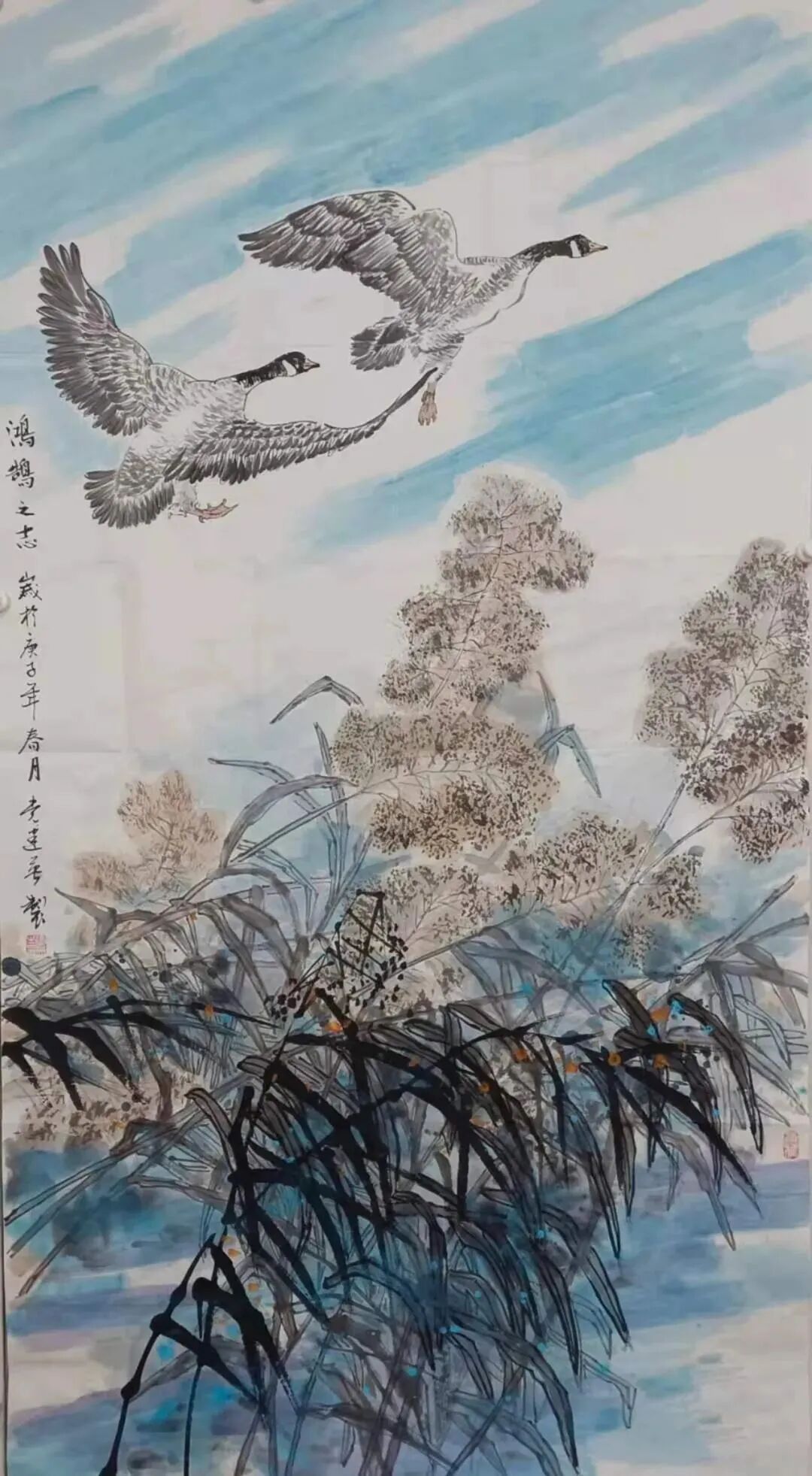 图片