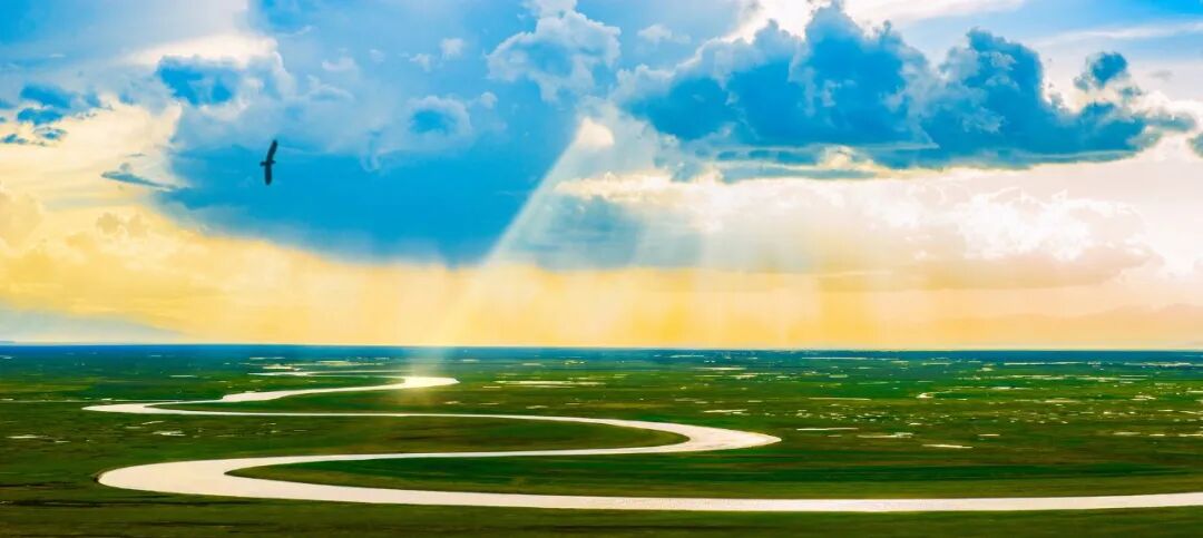 为什么心是钩脉脉有四季 ｜ 应季如何感受脉象_https://www.jmylbn.com_新闻资讯_第2张