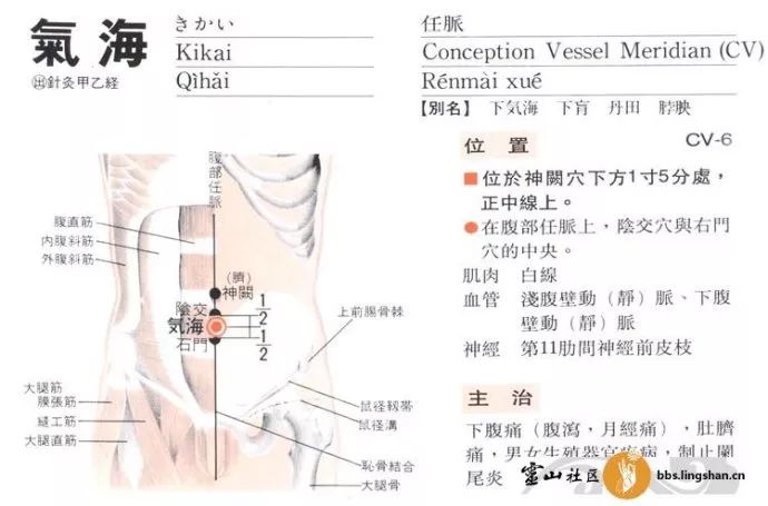 关于 新冠肺炎针灸干预的指导意见 的讲解 合谷 足三里 正安聚友会 微信公众号文章阅读 Wemp