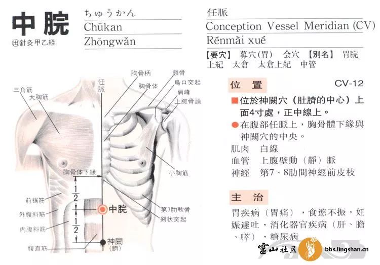 关于 新冠肺炎针灸干预的指导意见 的讲解 合谷 足三里 正安聚友会 微信公众号文章阅读 Wemp