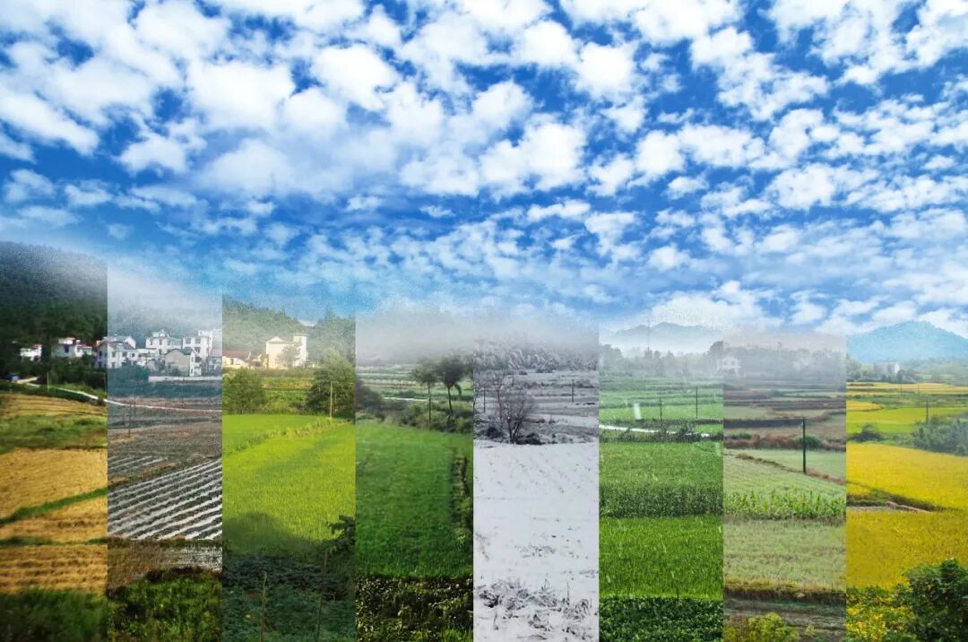 为什么心是钩脉脉有四季 ｜ 应季如何感受脉象_https://www.jmylbn.com_新闻资讯_第1张