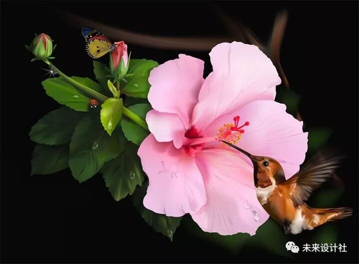 最全的平面设计软件资源分享！