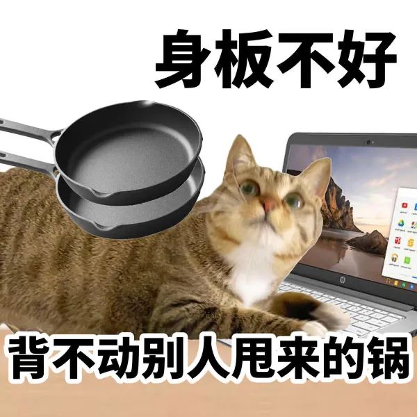 阴阳怪气的小猫