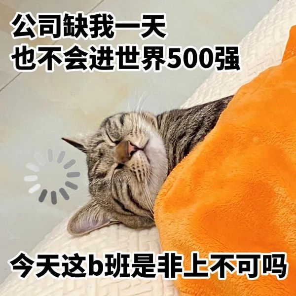 阴阳怪气的小猫