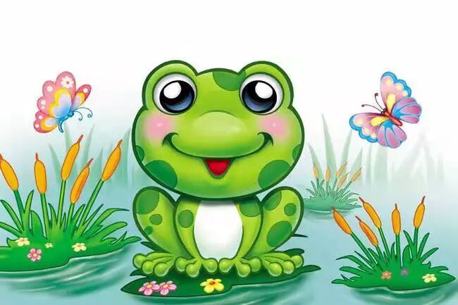 小青蛙的游泳池