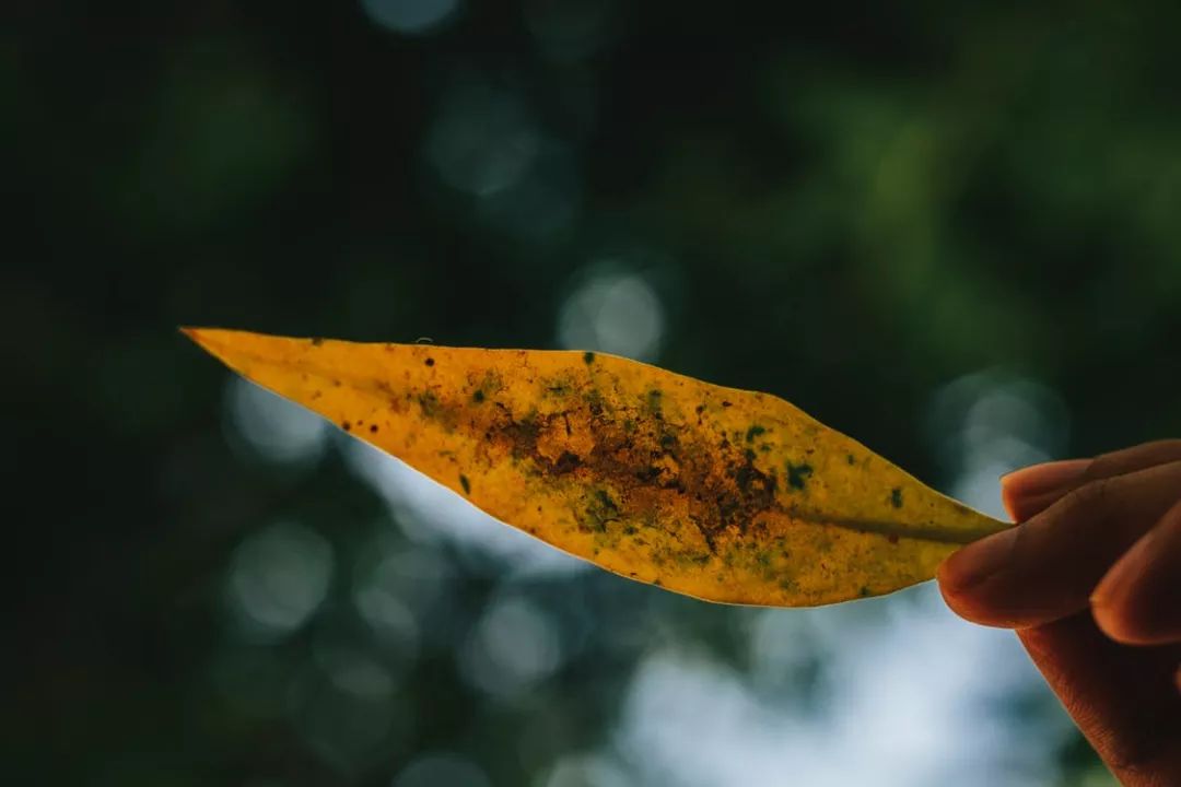 难在放下，苦在执着！