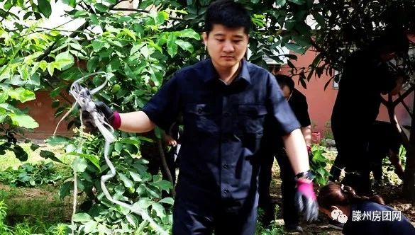荆善安居南区开展环境卫生综合整治集中活动(图9)