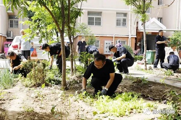 荆善安居南区开展环境卫生综合整治集中活动(图4)
